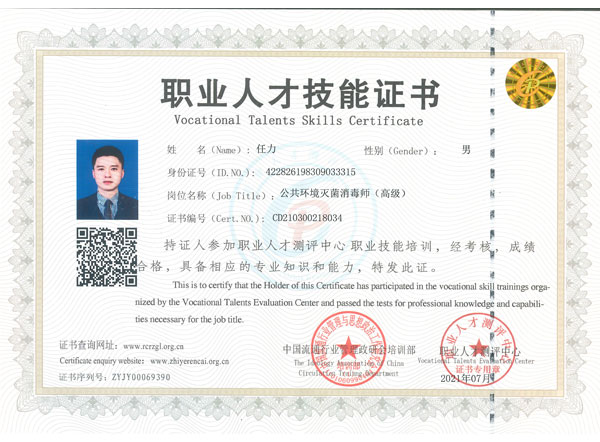 职业人才技能证书