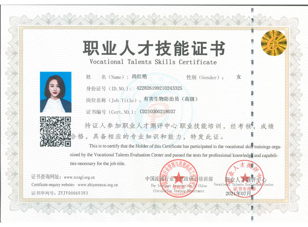 职业人才技能证书