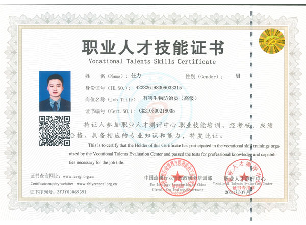 职业人才技能证书