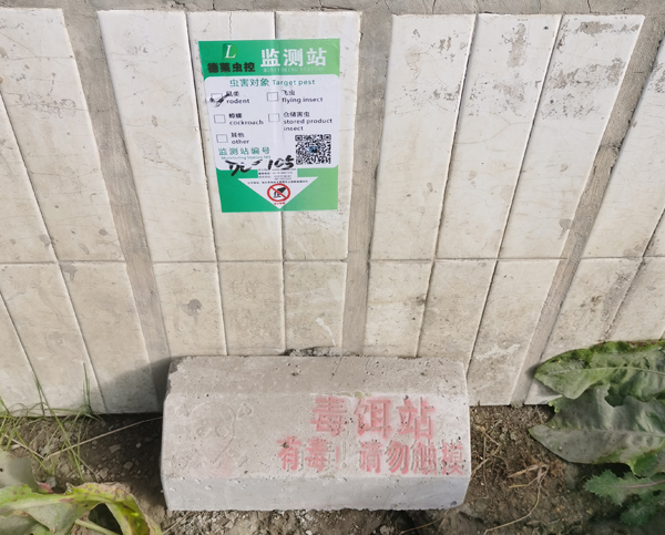 施工案例