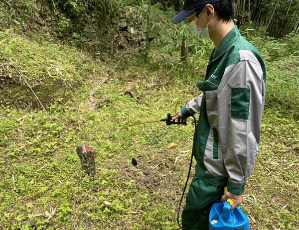 古建筑白蚁防治案例