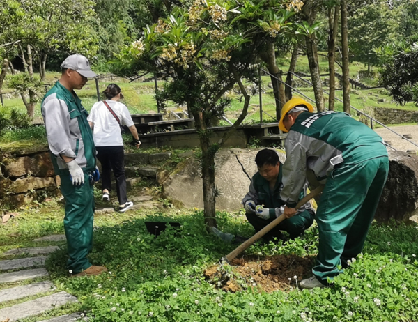 古建筑白蚁防治