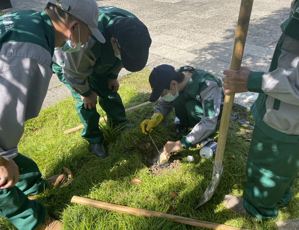 古建筑白蚁防治案例